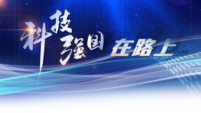 数据中台选型：如何规避常见陷阱，构建高效数据架构